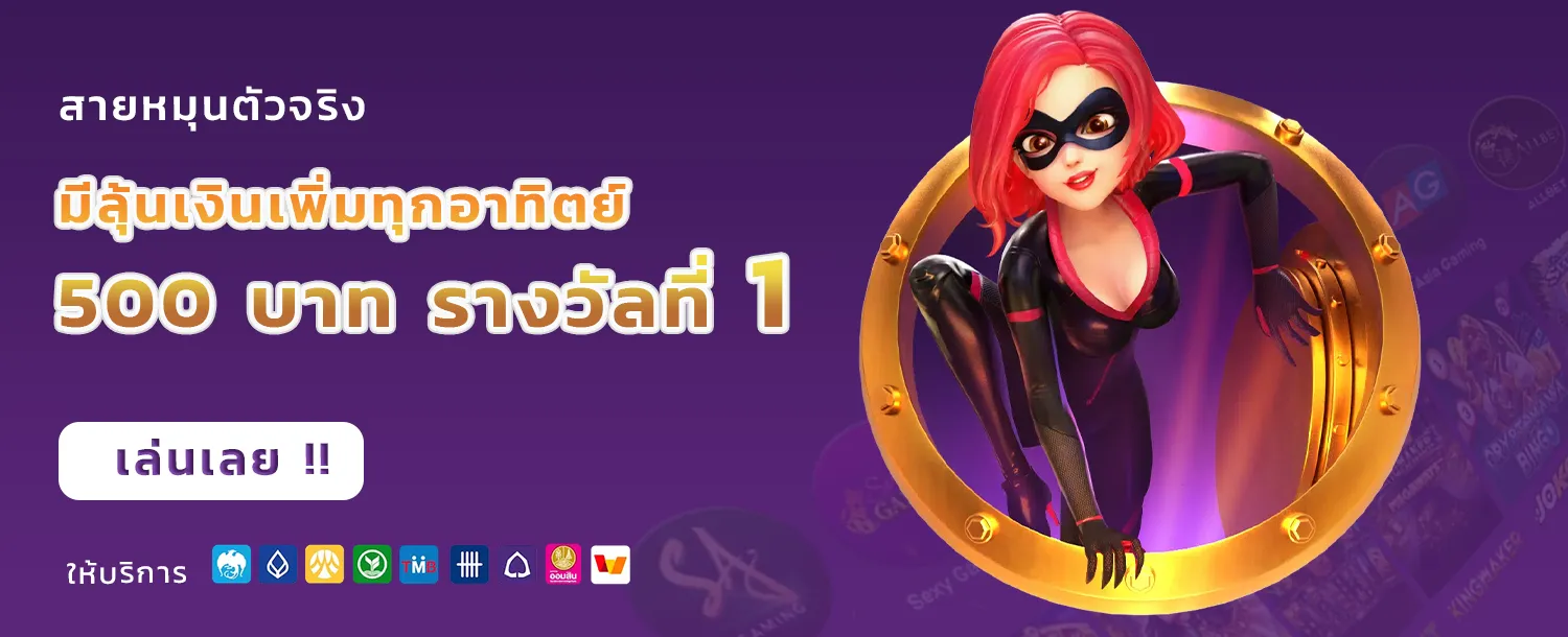 เจ้าสัว123